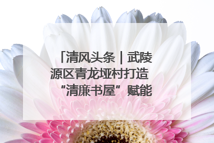 清风头条｜武陵源区青龙垭村打造“清廉书屋”赋能乡村振兴新风尚