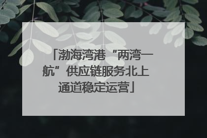 渤海湾港“两湾一航”供应链服务北上通道稳定运营