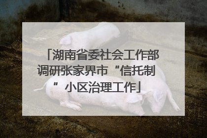 湖南省委社会工作部调研张家界市“信托制”小区治理工作