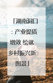 湖南洞口：产业提质增效 绘就乡村振兴新图景