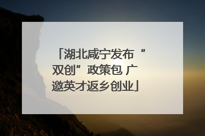 湖北咸宁发布“双创”政策包 广邀英才返乡创业