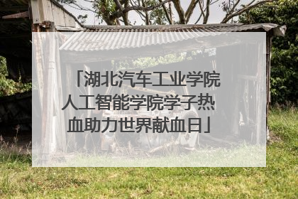 湖北汽车工业学院人工智能学院学子热血助力世界献血日