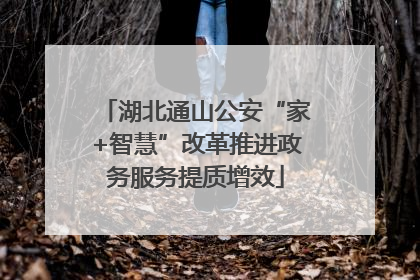 湖北通山公安“家+智慧”改革推进政务服务提质增效