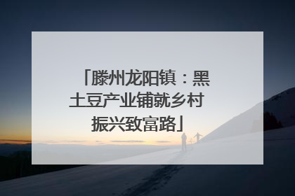 滕州龙阳镇：黑土豆产业铺就乡村振兴致富路