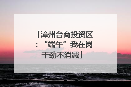 漳州台商投资区：“端午”我在岗 干劲不消减