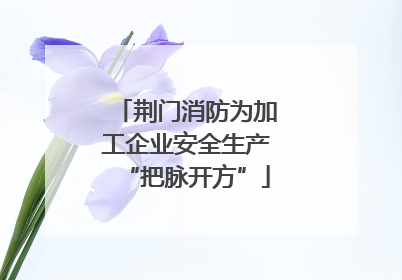 荆门消防为加工企业安全生产“把脉开方”