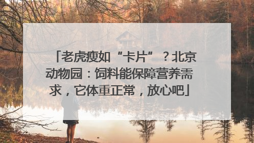 老虎瘦如“卡片”？北京动物园：饲料能保障营养需求，它体重正常，放心吧