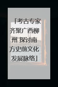 考古专家齐聚广西柳州 探讨南方史前文化发展脉络