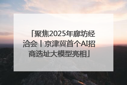 聚焦2025年廊坊经洽会丨京津冀首个AI招商选址大模型亮相