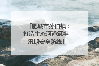 肥城市孙伯镇：打造生态河道筑牢汛期安全防线