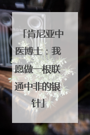 肯尼亚中医博士：我愿做一根联通中非的银针