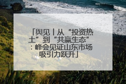 舆见丨从“投资热土”到“共赢生态”：峰会见证山东市场吸引力跃升