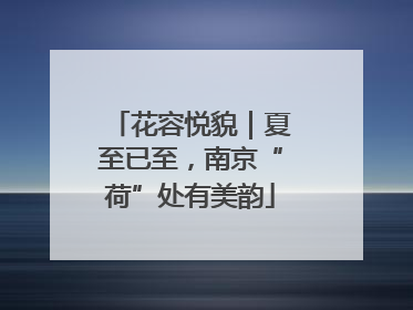花容悦貌｜夏至已至，南京“荷”处有美韵