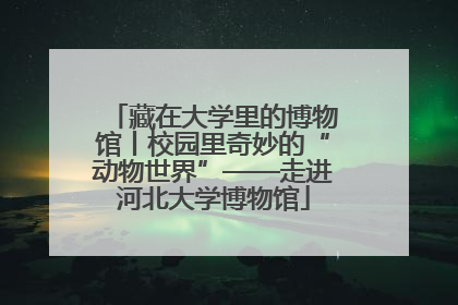 藏在大学里的博物馆丨校园里奇妙的“动物世界”——走进河北大学博物馆