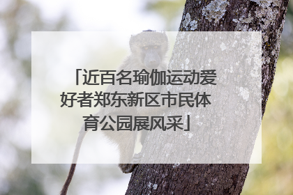 近百名瑜伽运动爱好者郑东新区市民体育公园展风采