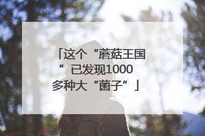 这个“蘑菇王国”已发现1000多种大“菌子”