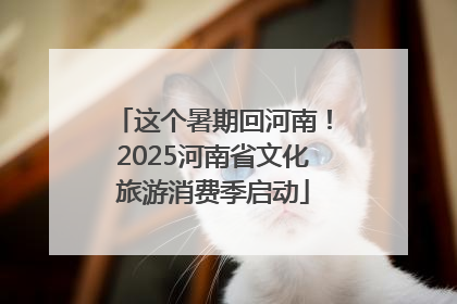 这个暑期回河南！2025河南省文化旅游消费季启动