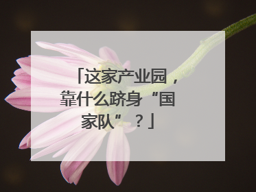 这家产业园，靠什么跻身“国家队”？