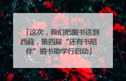 这次，我们把图书送到西藏，第四届“还有书陪伴”捐书助学行启动