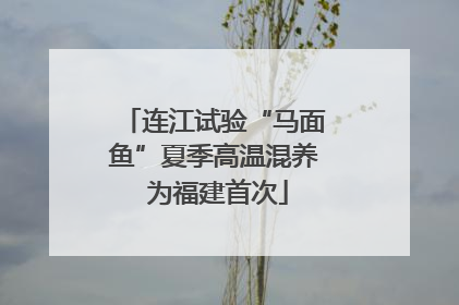 连江试验“马面鱼”夏季高温混养 为福建首次