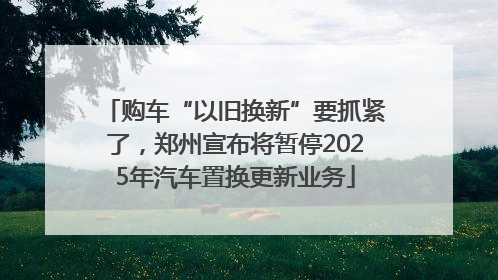 购车“以旧换新”要抓紧了，郑州宣布将暂停2025年汽车置换更新业务