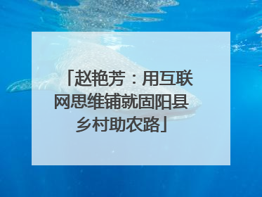赵艳芳：用互联网思维铺就固阳县乡村助农路
