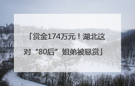 赏金174万元！湖北这对“80后”姐弟被悬赏