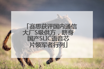 赛思获评国内通信大厂S级供方，跻身国产SLIC语音芯片领军者行列