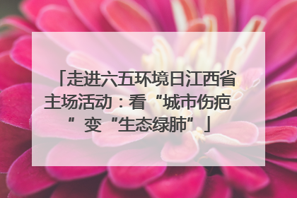 走进六五环境日江西省主场活动：看“城市伤疤”变“生态绿肺”