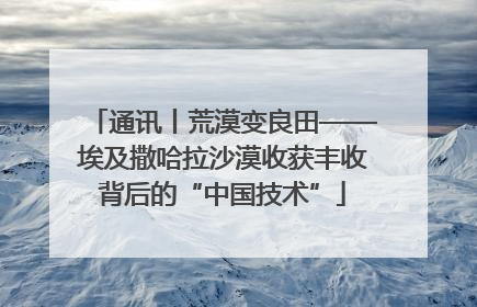 通讯丨荒漠变良田——埃及撒哈拉沙漠收获丰收背后的“中国技术”