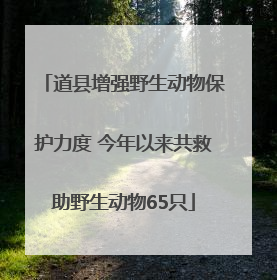 道县增强野生动物保护力度 今年以来共救助野生动物65只