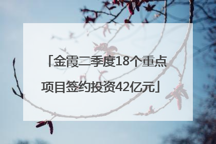 金霞二季度18个重点项目签约投资42亿元