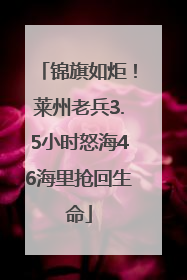 锦旗如炬！莱州老兵3.5小时怒海46海里抢回生命