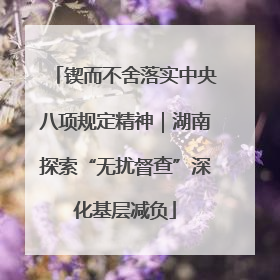 锲而不舍落实中央八项规定精神｜湖南探索“无扰督查”深化基层减负