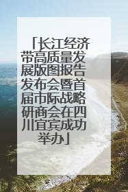 长江经济带高质量发展版图报告发布会暨首届市际战略研商会在四川宜宾成功举办
