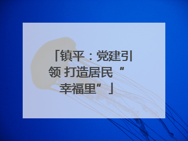 镇平：党建引领 打造居民“幸福里”