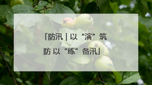 防汛｜以“演”筑防 以“练”备汛