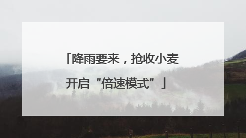 降雨要来，抢收小麦开启“倍速模式”