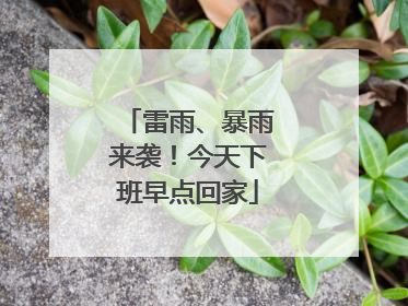 雷雨、暴雨来袭！今天下班早点回家