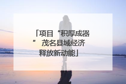 项目“积厚成器” 茂名县域经济释放新动能