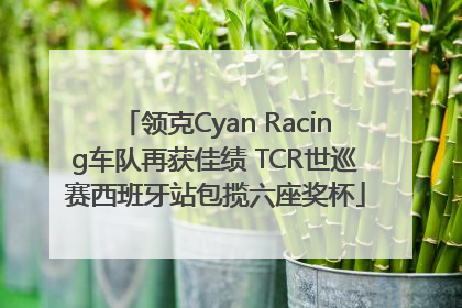 领克Cyan Racing车队再获佳绩 TCR世巡赛西班牙站包揽六座奖杯