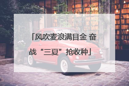 风吹麦浪满目金 奋战“三夏”抢收种