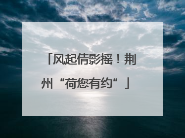 风起倩影摇！荆州“荷您有约”