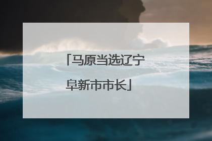 马原当选辽宁阜新市市长