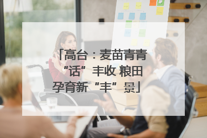 高台：麦苗青青“话”丰收 粮田孕育新“丰”景