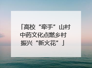 高校“牵手”山村 中药文化点燃乡村振兴“新火花”