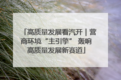 高质量发展看汽开｜营商环境“主引擎” 轰响高质量发展新赛道