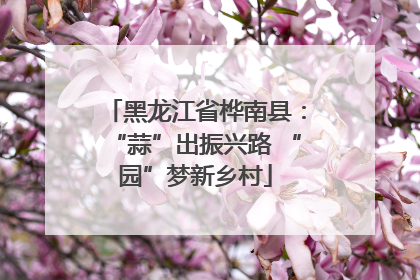 黑龙江省桦南县：“蒜”出振兴路 “园”梦新乡村