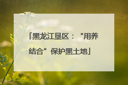 黑龙江垦区：“用养结合”保护黑土地