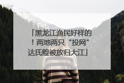黑龙江渔民好样的！两地两只“投网”达氏鳇被放归大江